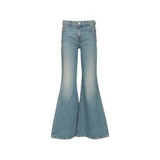 아미쉬 우드스톡 버튼 진