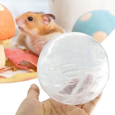 햄스터 놀이터 운동 헬스 쳇바퀴 볼 장난감, 1개, 상세페이지 참조
