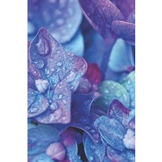Hortensie Notizbuch: Tagebuch Notizbuch Hortensie Blume Paperblank mit 120 Seiten