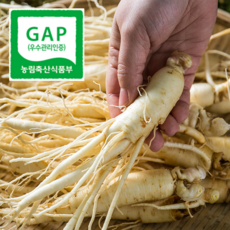 [실속형] 금산 인삼 5년근 산지직송, 1개, 막삼 750g (세척)