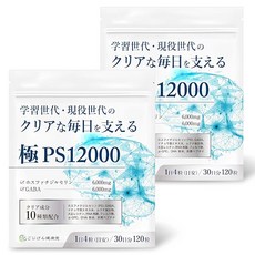 뇌신경과 의사가 감수 포스파티딜 세린 사프리 GABA 배합량 업계 톱 레벨의 PS 서플리 집중력 x 침착 클리어 성분 10종류 x분 2봉, 1개, 1g