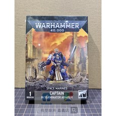 Warhammer 40 000 星際戰士 終結者盔甲連長 模型, 1個