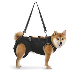 강아지 이동가방 산책 포대기 반려견 기내용 반려동물 애견가방, 1개, 블랙-여름용