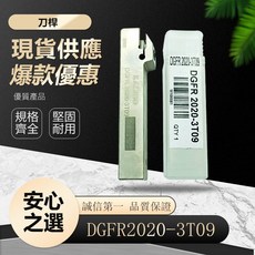 刀桿 DGFR2020-3T09, 1個