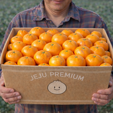 [초특가] 산지직송 고당도 제주 천혜향, 1박스, 가정용 5kg (사이즈 혼합)