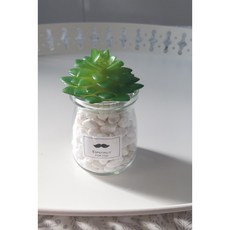 다육식물 미니화분 조화 인테리어 홈데코 탁상용 흰색 자연석 포함, 연꽃, 1개