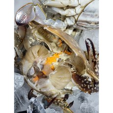 선주계약직송 생물발송 연평도 알배기 활 암꽃게 1kg 5-6미, 1세트, 연평도 활 암꽃게 1kg 5~6미