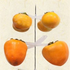 [홍스비]국산 DIY곶감걸이 감걸이 곶감만들기 곶감메이커 베란다 실내 농장 사무실, 10개걸이 곶감걸이(레드)10개(100개용), ☆10개걸이 곶감걸이10개(100개용)