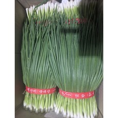 [당일경매] 국내산 신선 깐쪽파 1kg 식자재 업소용 가정용, 쪽파 1kg