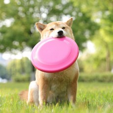 애완동물 프리스비 원반 장난감yh.4+7PMf