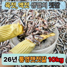 26년 남해 국산 멸치젓갈 봄 생멸치 통멸치젓 액젓 육젓용, 10kg, 1개