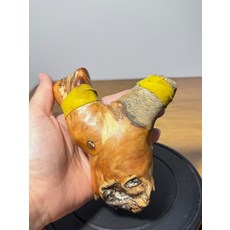 太行崖柏 彈弓 高度12cm 寬度12cm, 如圖所示, 1個