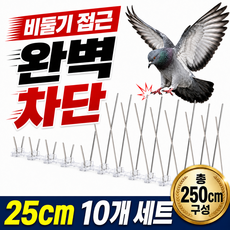 노멀리즘 둘기싹 비둘기 퇴치 스파이크 트랩 실외기 비둘기 퇴치망 25cm, 10개