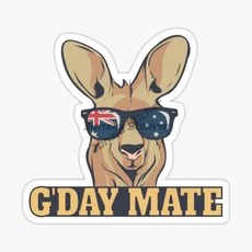 호주 국기 엠블럼 캥거루 스티커 벽장식 자동차 창 자전거 범퍼 데칼, 2. Australia, D. 20cm