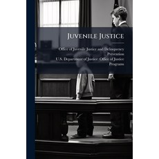 (영문도서)Juvenile Justice Paperback, Hutson Street Press, English, 9781025117300