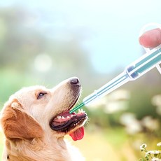 반려동물 알약주사기 주입기 필건 투약기 약먹이기tjr2+4duZ