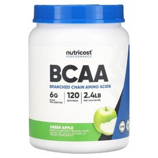 뉴트리코스트 BCAA 파우더 그린애플맛 120회분 1병, 1.08kg, 1개