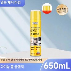 블루웨이 다기능클리너 폼 초강력 클렌징 거품형, 650ml 클리닝 폼 1병, 1개, 1L