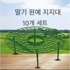 mexholin 딸기 식물 성장 지지대 딸기 열매 받침대 낙하 방지 키우기 재배 용품, 10개