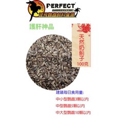 波飛鸚鵡 天然奶薊子 天然保肝品 鸚鵡 倉鼠 兔（需冷藏！）, 1個, 奶薊子,600克