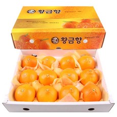제주 황금향 3kg 특대(10~13과), 일반포장, 1개