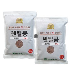 대한농산 브라운렌틸콩 4kg (2kgx2봉) 렌틸콩, 2kg, 2개