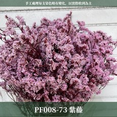 CANLONGER FLOWER 水晶花, 73紫藤,原裝(超取會修剪適合裝箱尺寸), 1個