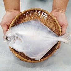 병어 덕자 병어조림 세꼬시 목포수협 당일위판, 손질 참병어 횟감용(중), 1개