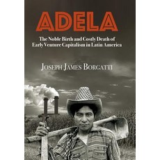 (영문도서) Adela: The Noble Birth and Costly Death of Early Venture Capitalism in Latin Am... Hardcover, Chapin Publishing, English, 9781732497405
