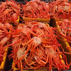 자연순수 국내산 심해홍게 6미 대자 (자숙 수율 85%이상) 조업 직송, 2개, 2.5kg