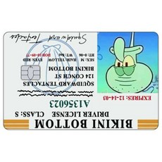 카툰 운전면허증 신용카드 스킨 패트릭 스타 스티커 패치 은행카드 무광 데칼 장식 선물, Big Chip, 8 1PCS