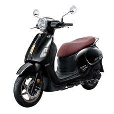 SYM Fiddle 大燈護片(附子母扣), 1個