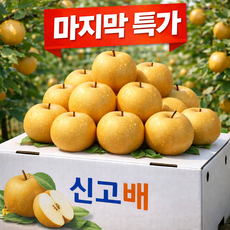 [마지막특가] 당도선별 신고배 가정용 배, 1박스, 5kg