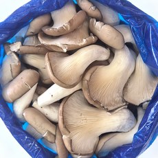 클릭마켓 국내산 느타리 못난이 느타리버섯 벌크, 1개, 4kg