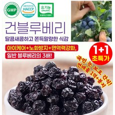 [서울 유명 안과 의사 추천] 1kg+1kg 무설탕 블루베리 건과일, 10개, 100g