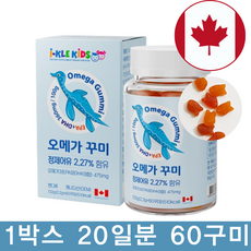 우리아이 건강엔 아이클키즈 오메가 꾸미 / 천연향료사용 / 두가지맛 꾸미, 60정, 1박스