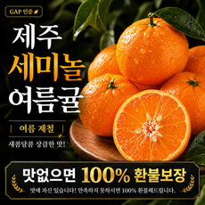 제주 세미놀 홍귤 고당도 새콤달콤 산지직송 여름귤, 1박스, 중대과 2kg
