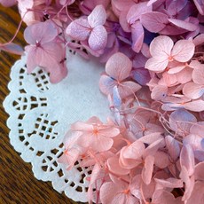 VITO zakka 木繡球永生花DIY乾燥花植物浮游花材花藝材料包拍攝道具DIY創作花材20g, 糖果(粉紫藍漸變)