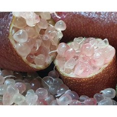 상큼한 핑거라임 300g (생과)국내산, 1개