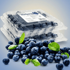슈퍼푸드 생 블루베리 14-16mm내외 칠레/미국/캐나다, 2개, 125g