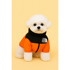 [파라쥬]강아지경량패딩 / 소형견 중형견 대형견 / 애견의류/ 겨울막바지, 1개, 오렌지
