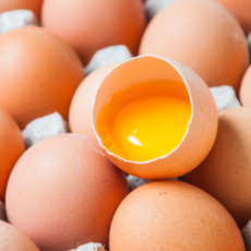 [난각번호1번] 자연방사 유정란 대란 무항생제 자유방목 계란, 1개, 20구