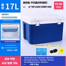 온도표시 아이스박스 보냉백 캠핑 보온상자 쿨러백 야외 차박 보냉 보관, 17L 백팩 블루아이스2개