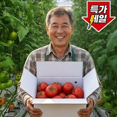 [하루딱100박스] 초특가 국내산 맛있는 완숙토마토, 1박스, 3kg