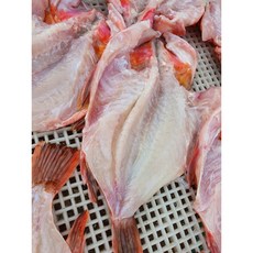 반건조 마른생선 쏨뱅이 제수용생선, 1개, 한마리300g