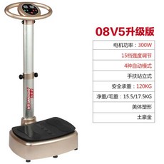 진동 쉐이크 보드 홈트 스트레칭 가정용 덜덜이 운동