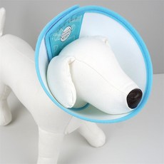 헤이영 애완용 넥카라 컬러디자인 고양이목보호대, 7호