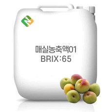 매실농축액01 65Brix 200g 샘플, 1개