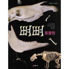 [시공주니어] 뼈뼈 동물원 [양장] (네버랜드 지식 그림책 11) [따뜻한책방]