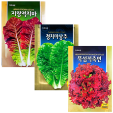 상추씨앗 (3000립x5) 적상추 청상추 꽃상추 적축면 쌈채소 텃밭 채소 씨앗 종자, 3개
